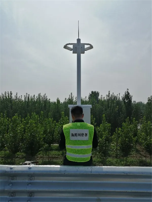 Project Site Installation—Picture 2